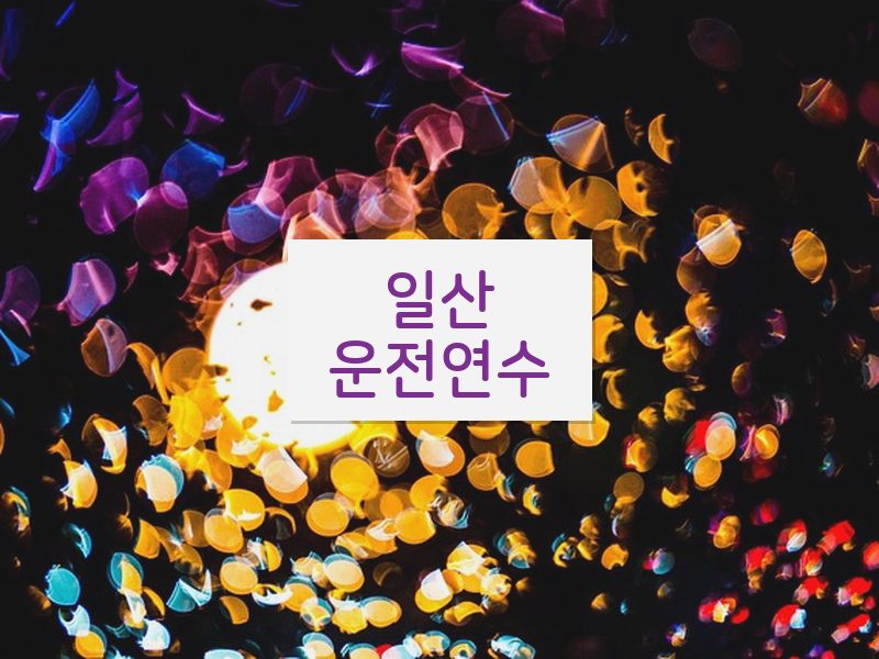 일산운전연수 후기