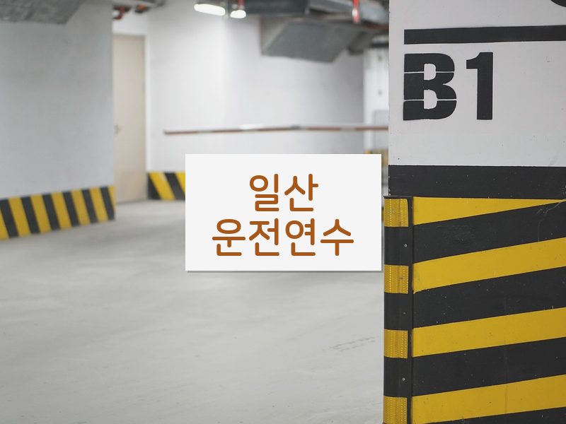 일산운전연수 후기
