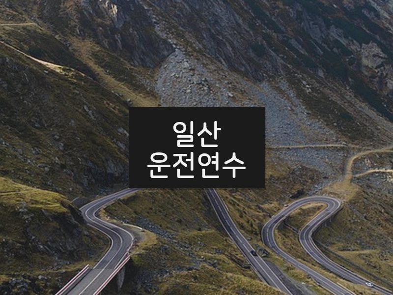 일산운전연수 후기