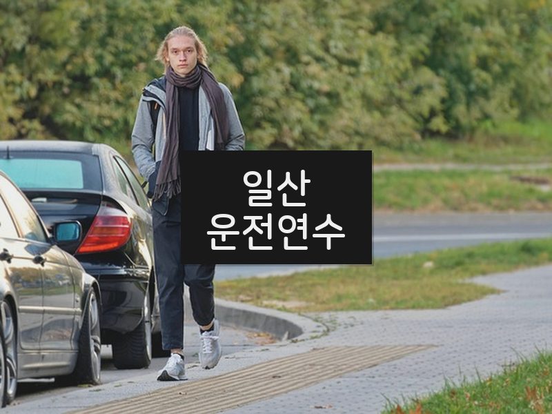 일산운전연수 후기