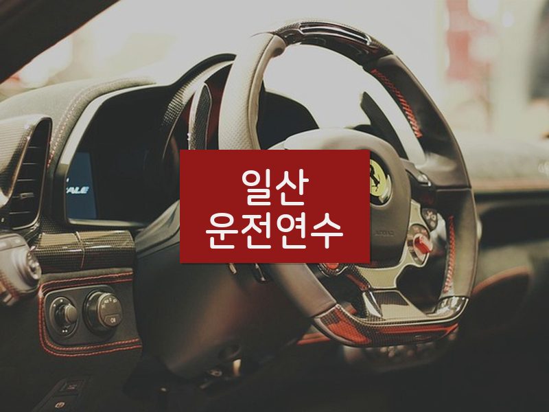 일산운전연수 후기