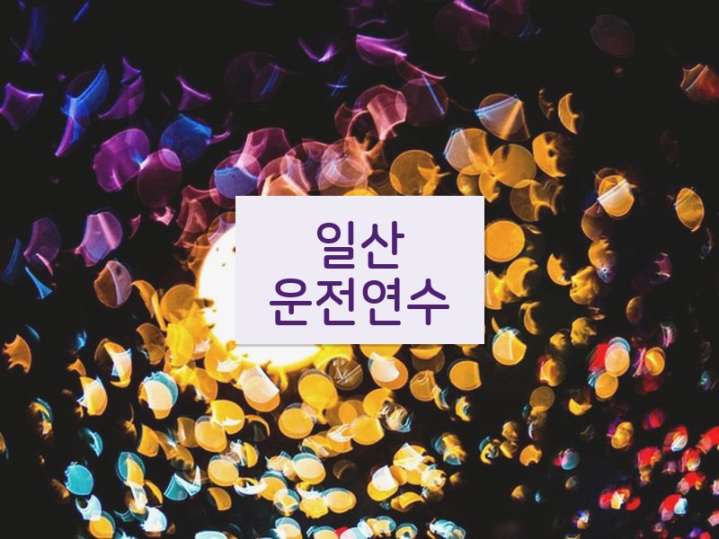 일산운전연수 후기