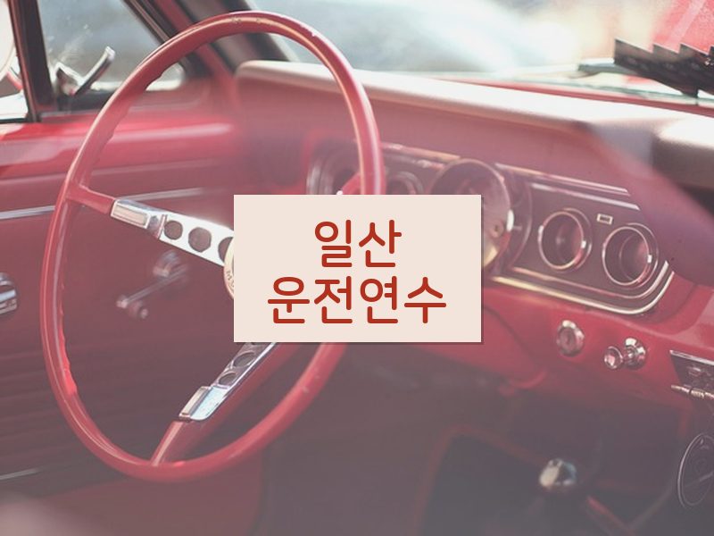 일산운전연수 후기