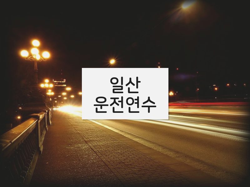 일산운전연수 후기
