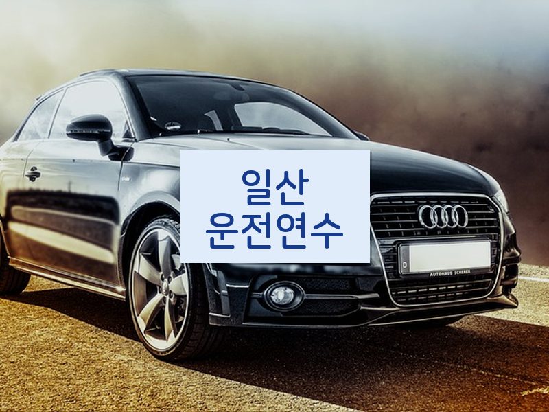 일산운전연수 후기