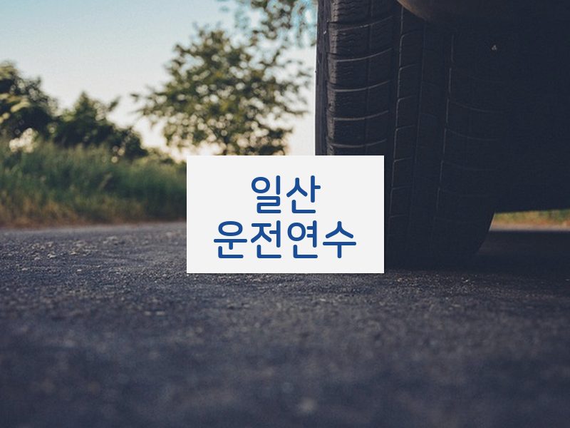 일산운전연수 후기