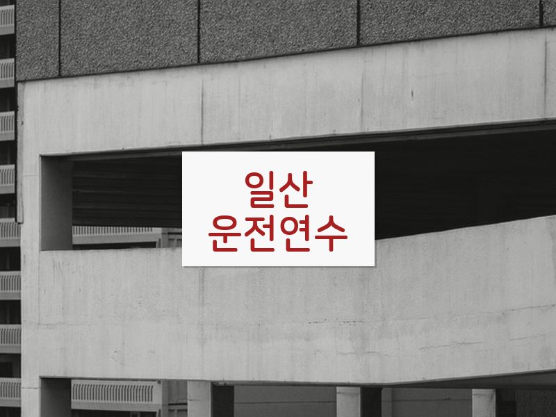 일산운전연수 후기