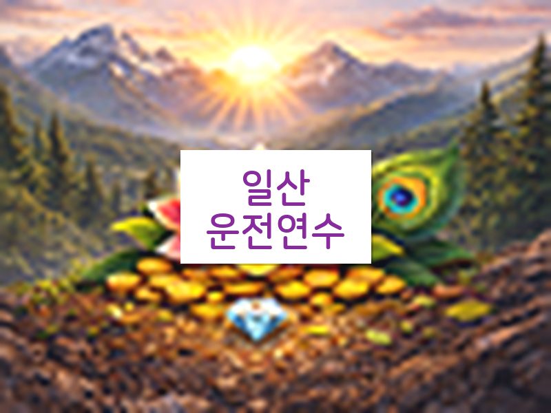 일산운전연수 후기