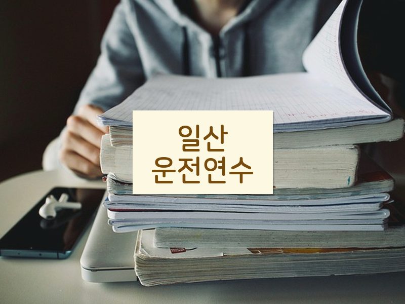 일산운전연수 후기