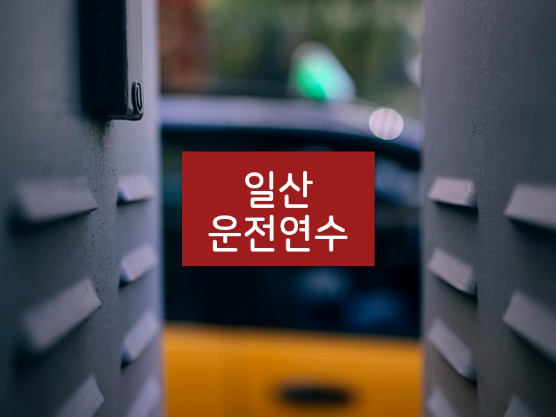 일산운전연수 후기