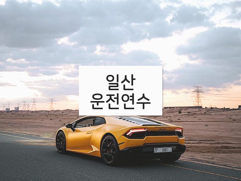 일산운전연수 후기