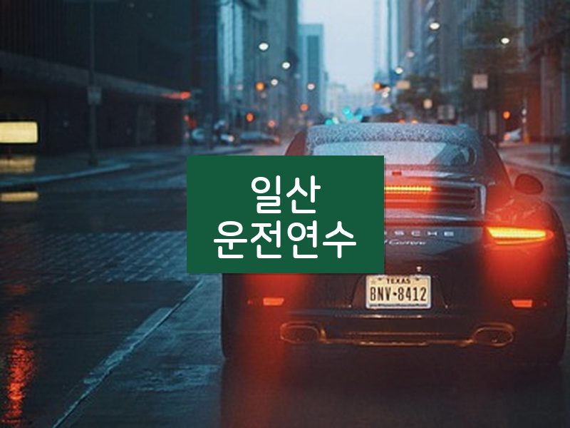 일산운전연수 후기