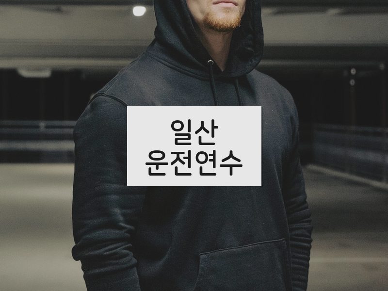 일산운전연수 후기