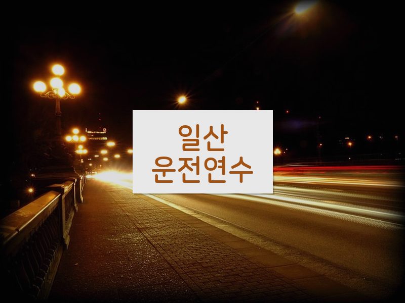 일산운전연수 후기