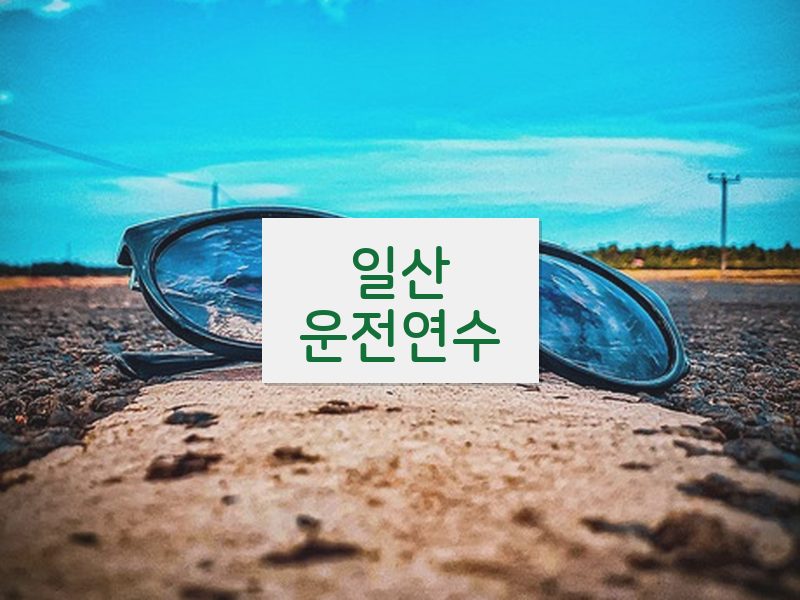 일산운전연수 후기