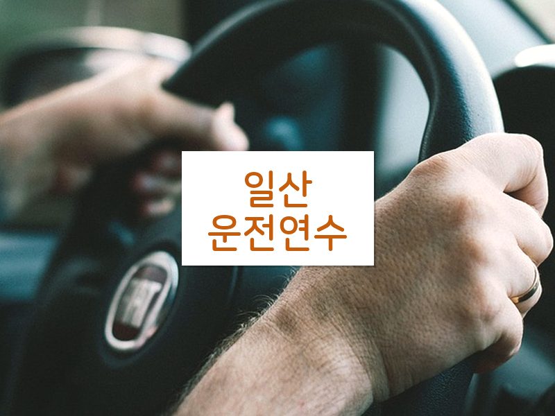 일산운전연수 후기