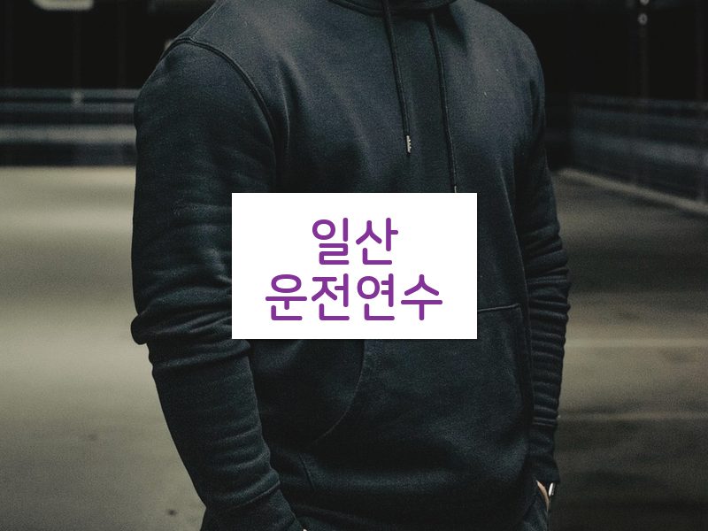 일산운전연수 후기