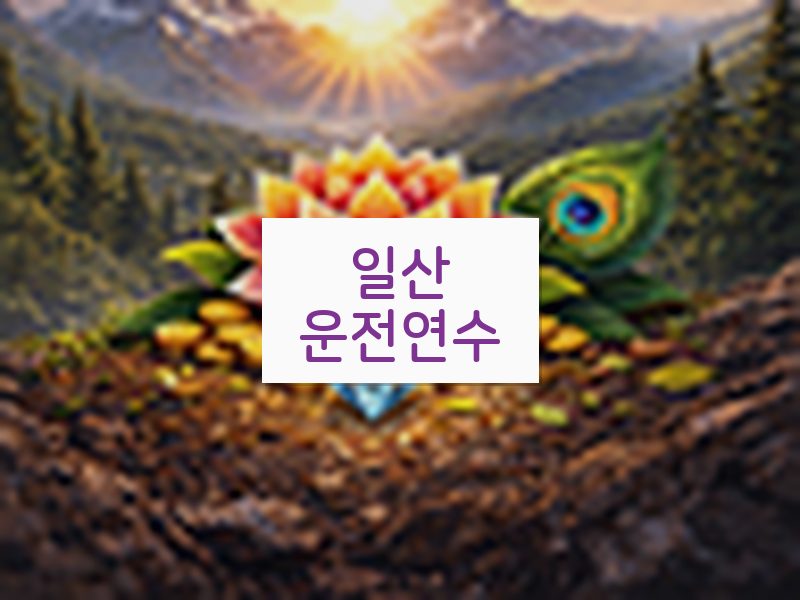 일산운전연수 후기