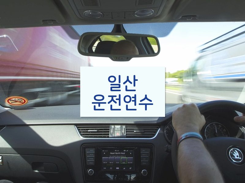 일산운전연수 후기