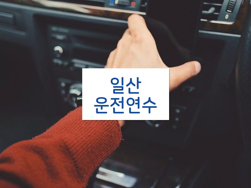 일산운전연수 후기
