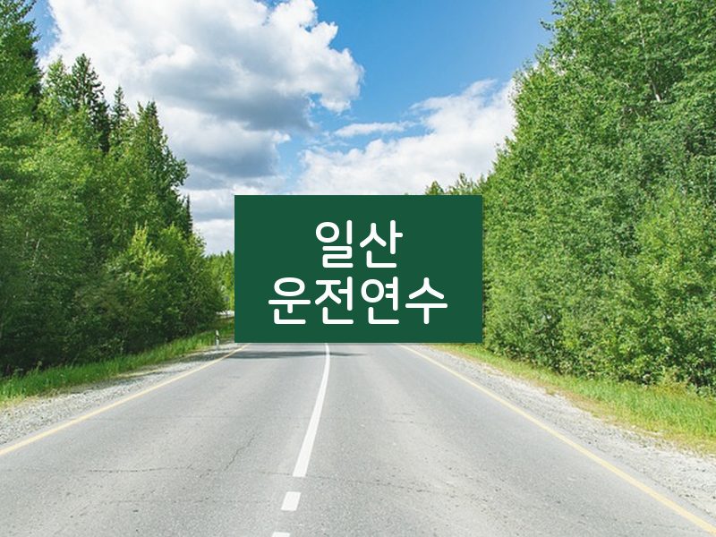 일산운전연수 후기