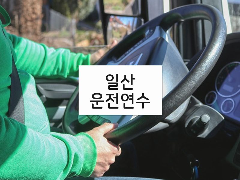 일산운전연수 후기