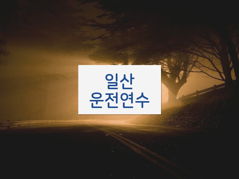 일산운전연수 후기