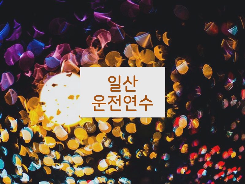 일산운전연수 후기