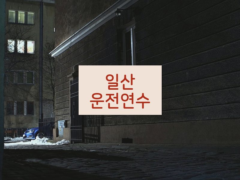 일산운전연수 후기