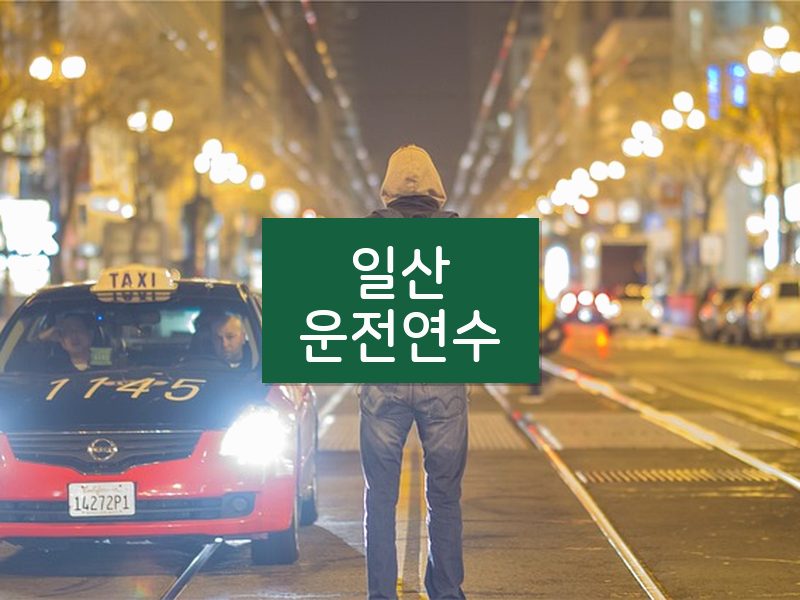 일산운전연수 후기