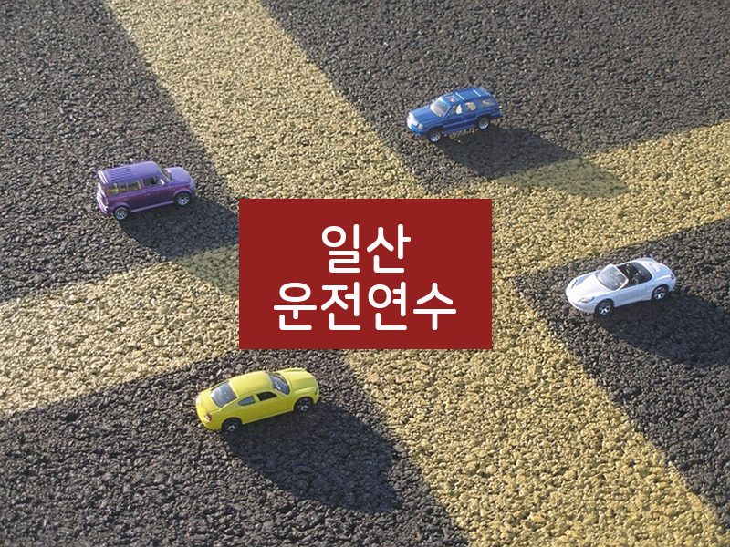 일산운전연수 후기