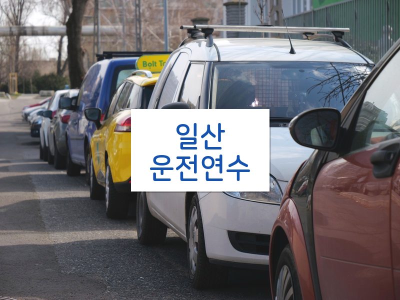 일산운전연수 후기