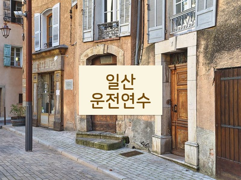 일산운전연수 후기