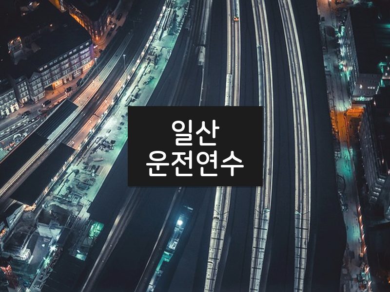 일산운전연수 후기