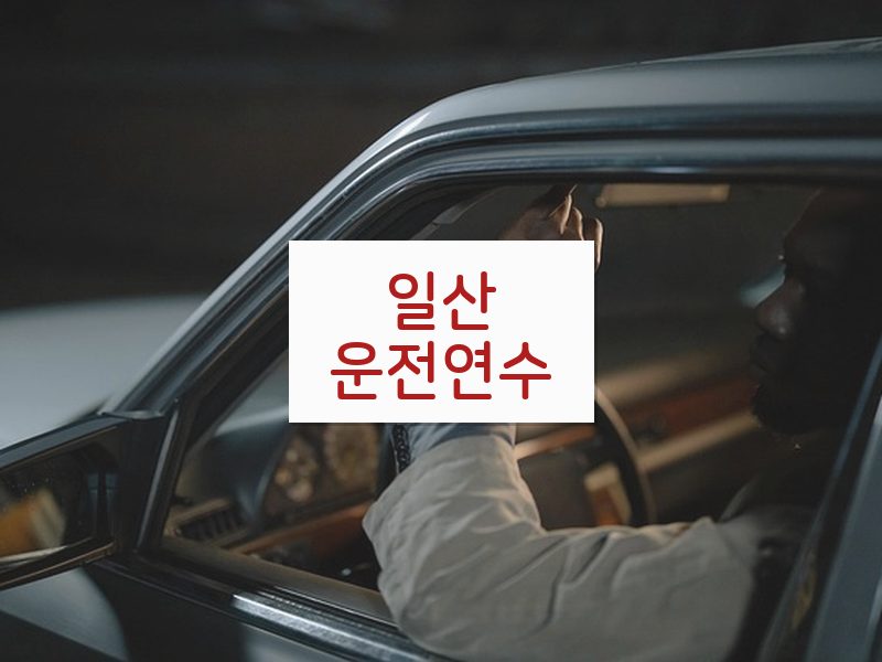 일산운전연수 후기