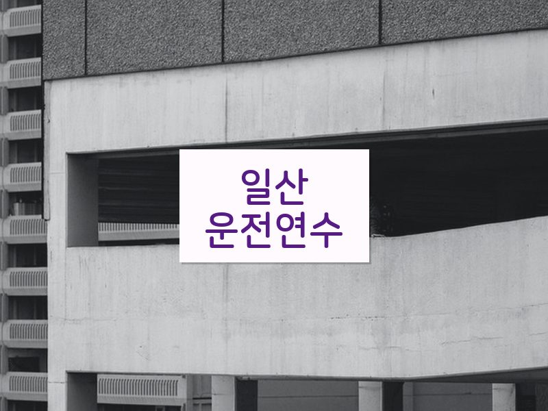 일산운전연수 후기