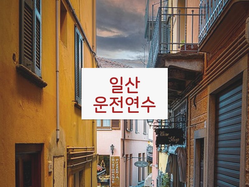 일산운전연수 후기