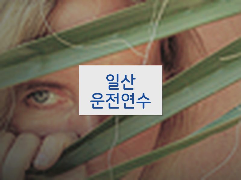 일산운전연수 후기