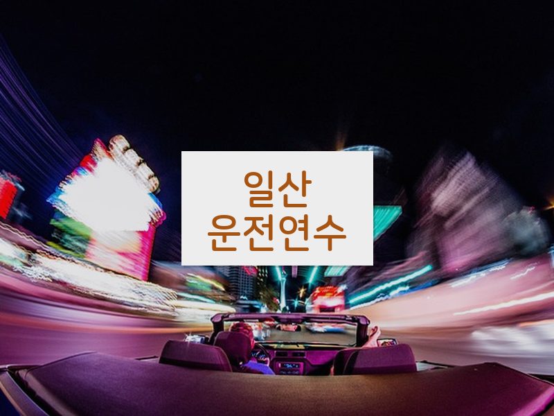 일산운전연수 후기