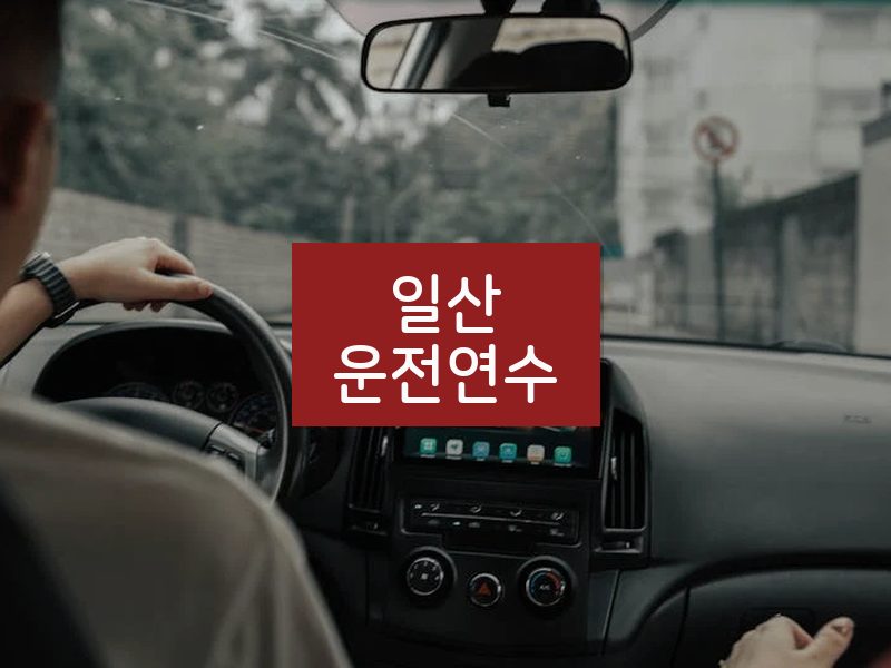 일산운전연수 후기
