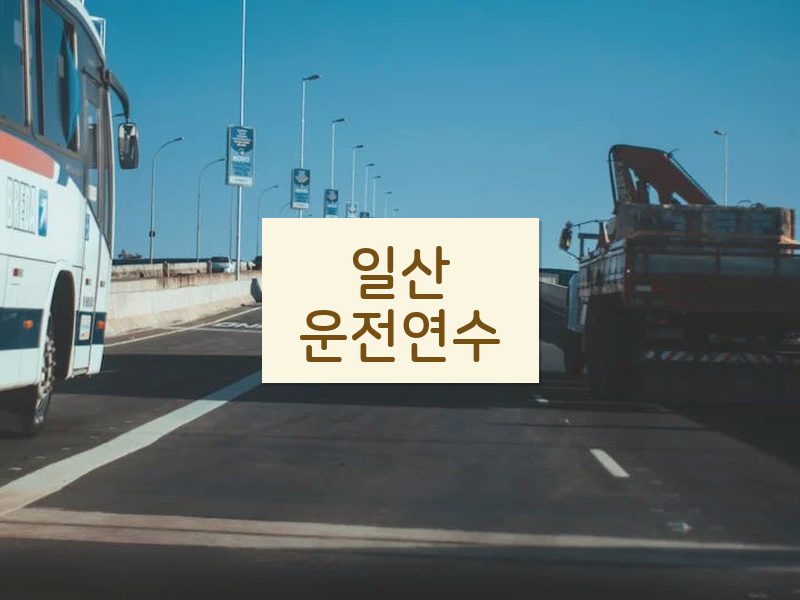 일산운전연수 후기
