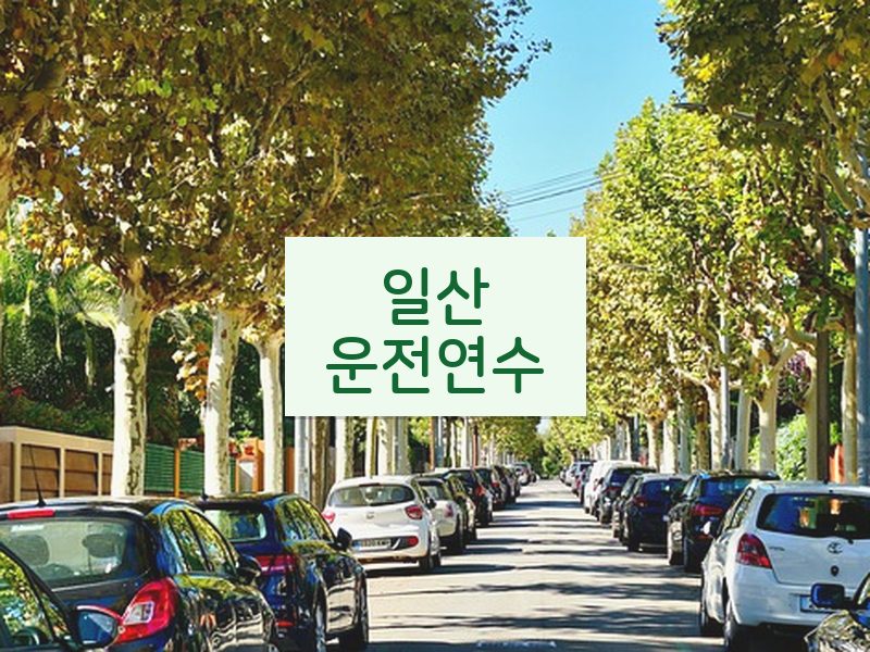 일산운전연수 후기