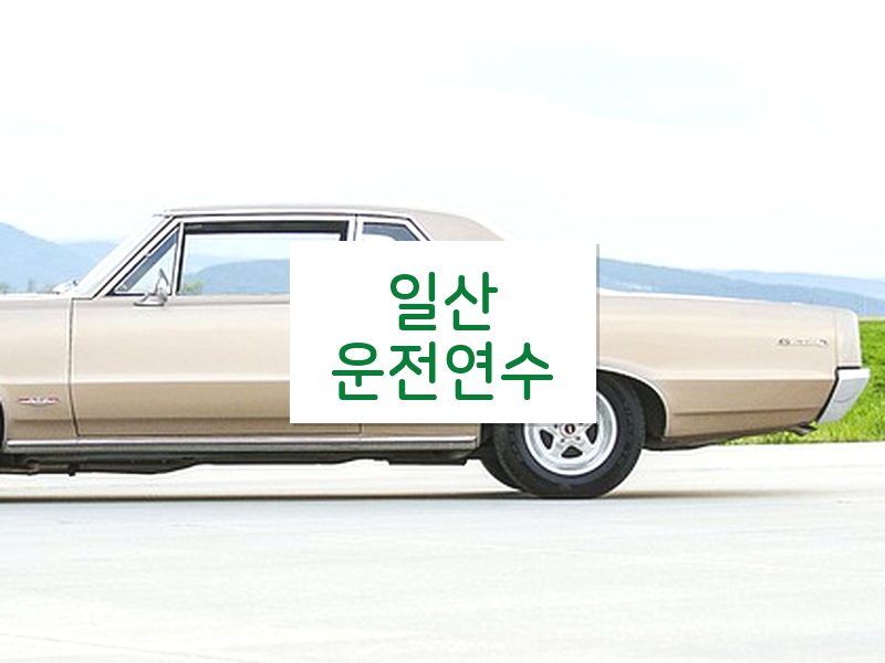 일산운전연수 후기