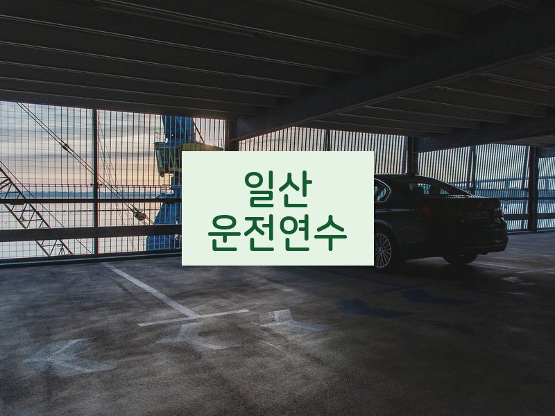 일산운전연수 후기