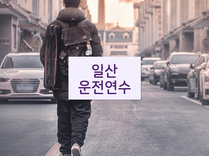 일산운전연수 후기