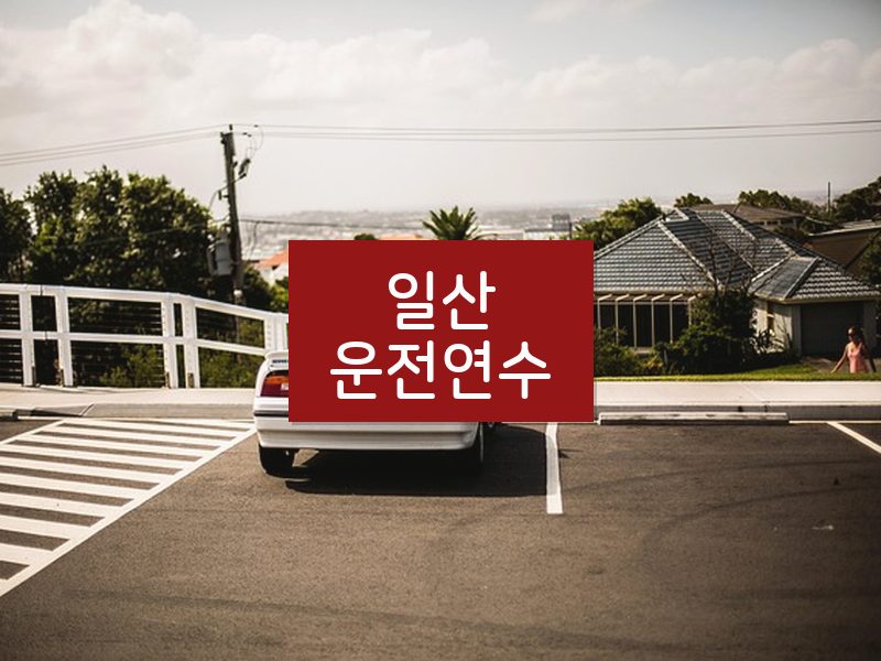 일산운전연수 후기