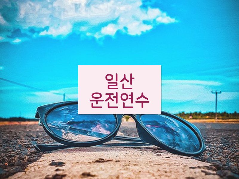 일산운전연수 후기