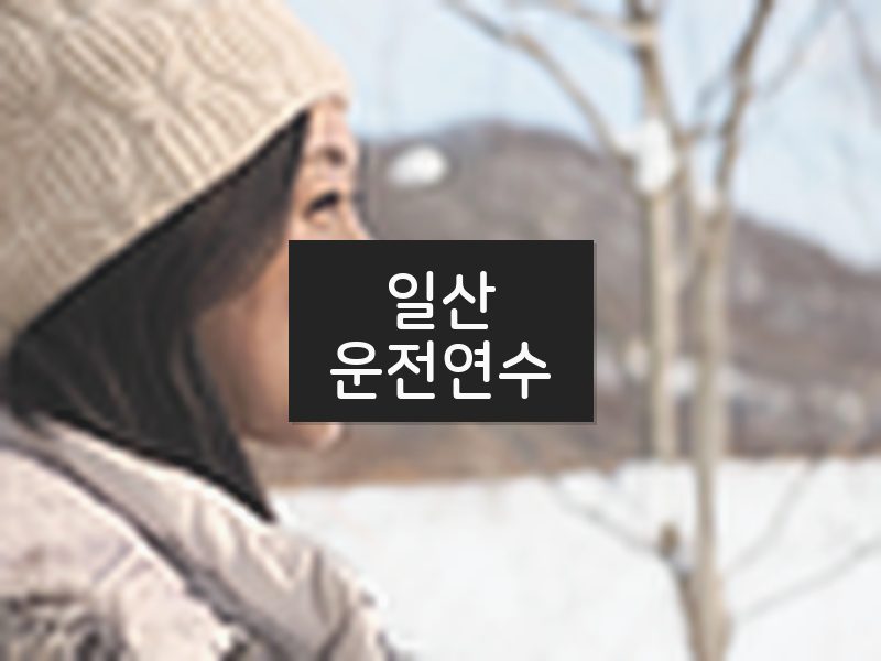 일산운전연수 후기