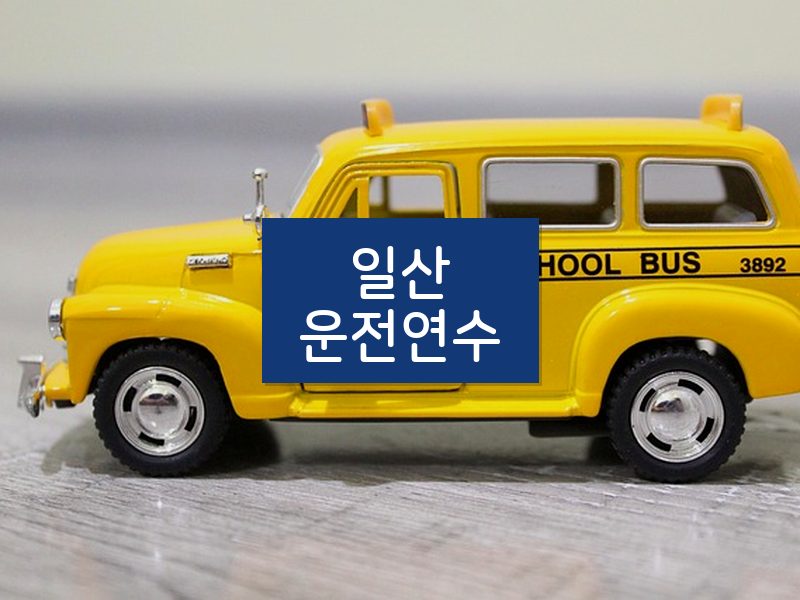 일산운전연수 후기