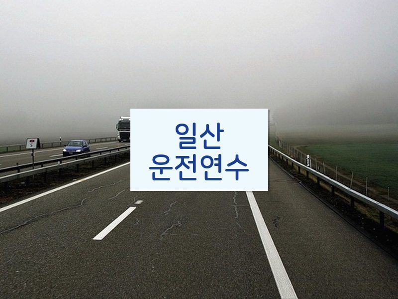 일산운전연수 후기